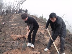 �����ƾֻ�������ֲ�����ֻ